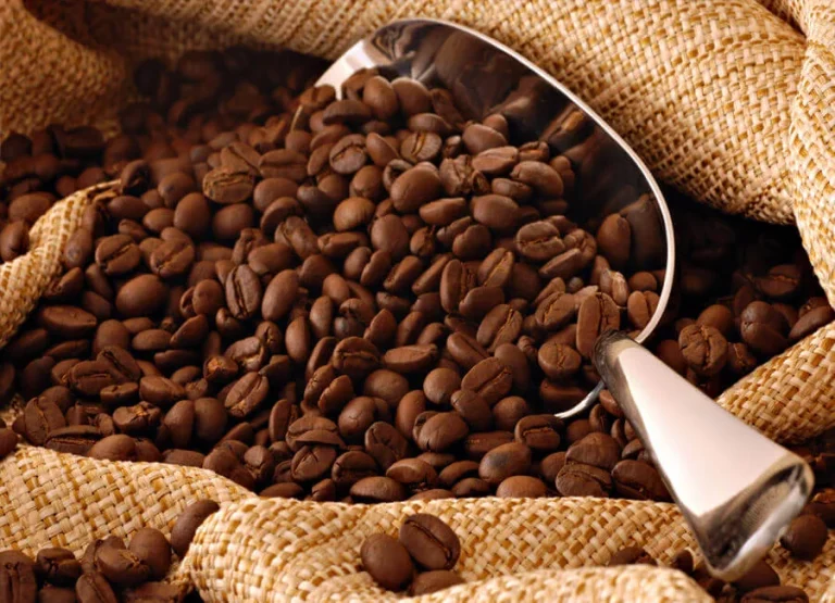 Exploring the World of Coffee Beans: Varieties, Flavors, and Aromas
