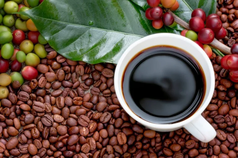 Organic Coffee: Benefits, Challenges, and Consumer Impact